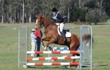 TAS_2011