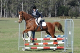 TAS_2012