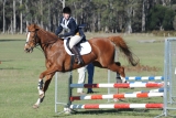 TAS_2013