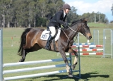 TAS_2029