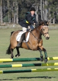 TAS_2048