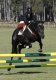 TAS_2061