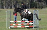 TAS_2062