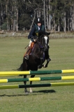 TAS_2075