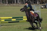 TAS_2078
