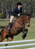 TAS_2101c