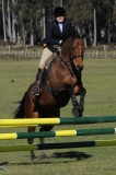 TAS_2106