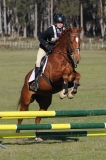 TAS_2146