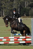 TAS_2185