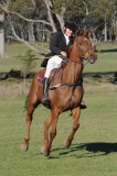 TAS_2189