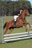 TAS_2192