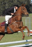 TAS_2192c