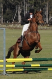 TAS_2197