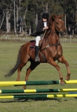 TAS_2199