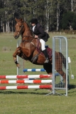 TAS_2202