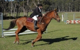TAS_2207