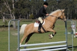 TAS_2220