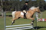 TAS_2221