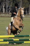 TAS_2225