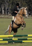 TAS_2226