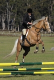 TAS_2227