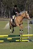 TAS_2228