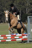 TAS_2234