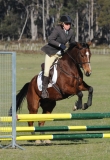 TAS_2241