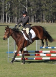 TAS_2247