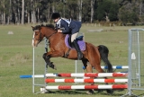 TAS_2255