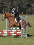 TAS_2266