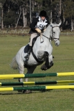TAS_2275