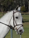 TAS_2285