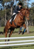 TAS_2288