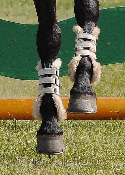 TAS_1478.jpg