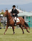 TAS_1263