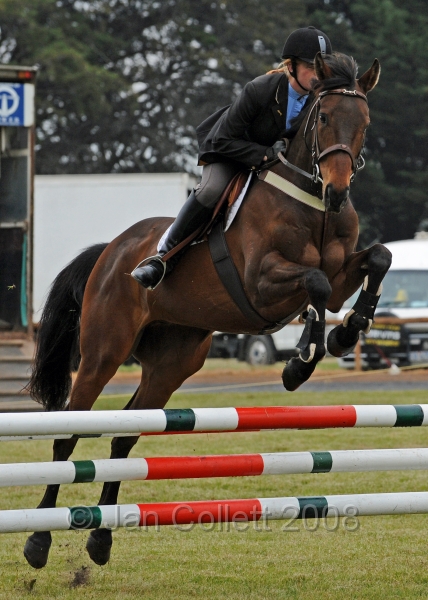 TAS_4134c.jpg