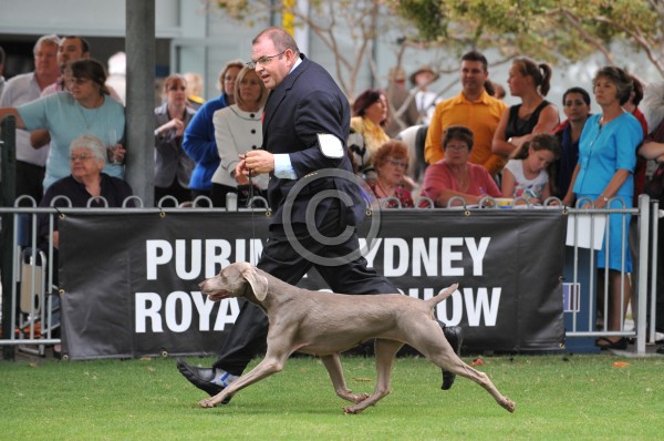 SYD_4553w.jpg