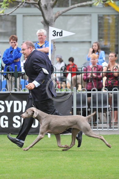 SYD_4697w.jpg